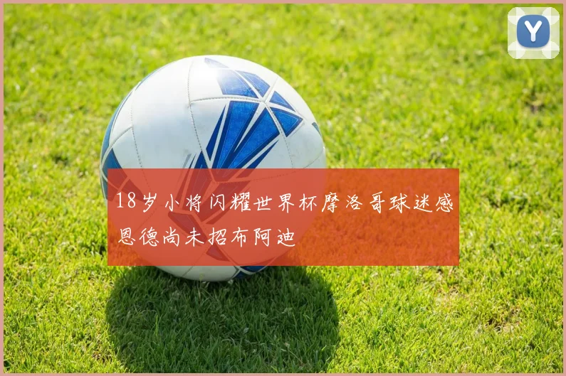 18岁小将闪耀世界杯摩洛哥球迷感恩德尚未招布阿迪